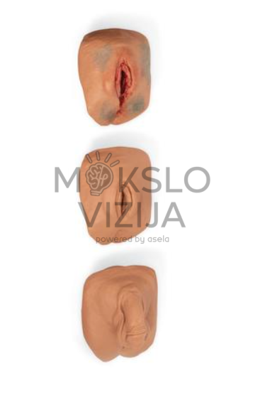 medicinos mokymo manekeno keičiami genitalijų moduliai klinikiniams mokymams