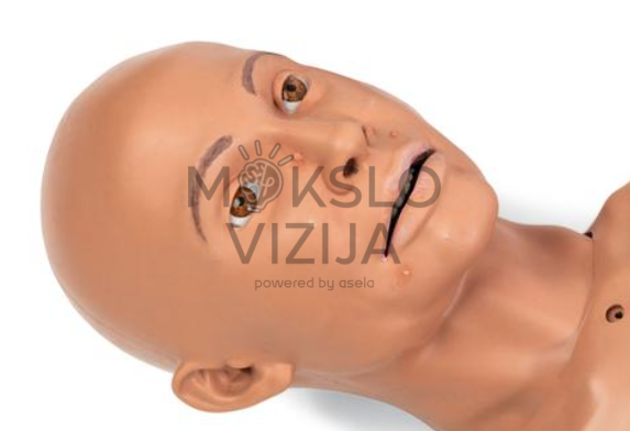 medicininio mokymo manekeno veido ir vyzdžių detalės paciento būklės vertinimo mokymui