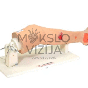 arterinio nepakankamumo kojos modelis su įvairiomis opomis medicinos ir slaugos mokymui