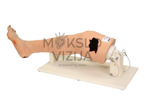 arterinio nepakankamumo mokymo kojos modelis su nekrozės ir opų imitacijomis