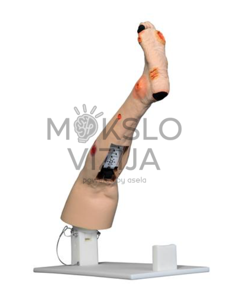 medicininis kojos modelis su arterinio nepakankamumo pažeidimais slaugos mokymams