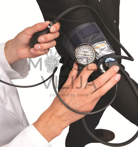 kraujospūdžio matavimo simuliacija medicinos mokymo sistemoje