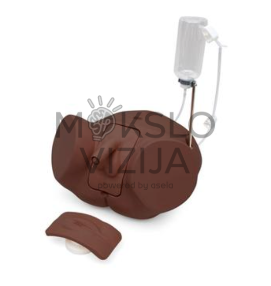 kateterizacijos mokymo simuliatoriaus rinkinys su skysčio rezervuaru medicinos mokymui