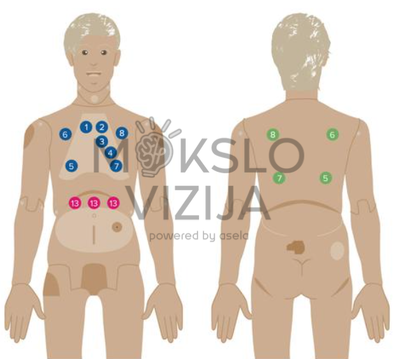 Paciento priežiūros mokymo manekenas su auskultacijos funkcija skirtas slaugai - Image 2