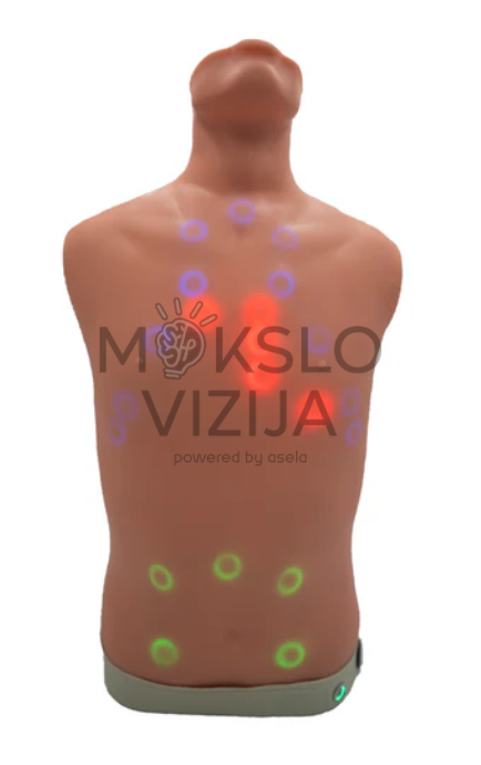 širdies plaučių ir pilvo auskultacijos treniruoklis medicininės simuliacijos liemens modelis su pažymėtais diagnostikos taškais