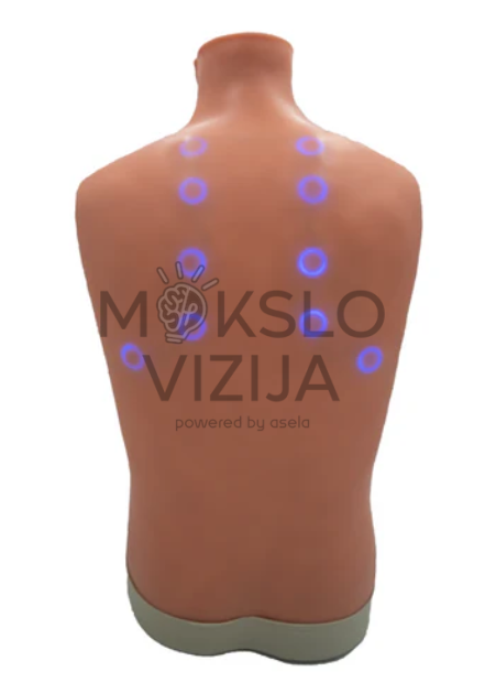 auskultacijos mokymo treniruoklis su plaučių klausymo taškais medicininės simuliacijos liemens modelis skirtas stetoskopo naudojimo ir kvėpavimo garsų mokymui