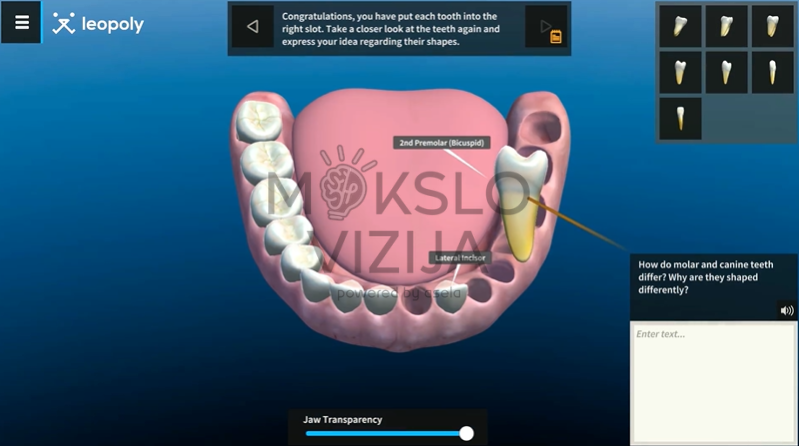 Virtuali 3D dantų anatomijos programa, kurioje rodomas žandikaulis su pažymėtais dantimis ir mokymosi sąsaja