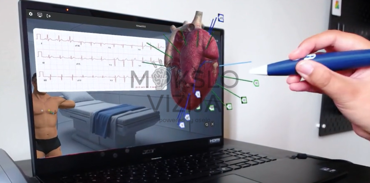 3D širdies modelis su pažymėtais signalais ir EKG bangomis naudojamas medicinos mokymams