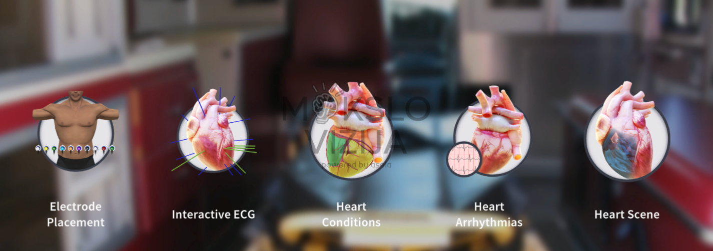 Virtuali EKG sistema su 3D širdies modeliu ir elektrokardiogramos grafiku kompiuterio ekrane mokymams