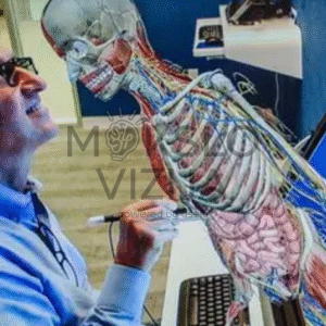 Interaktyvi 3D žmogaus anatomijos sistema su skeletu, organais ir nervų sistema kompiuterio ekrane mokymams