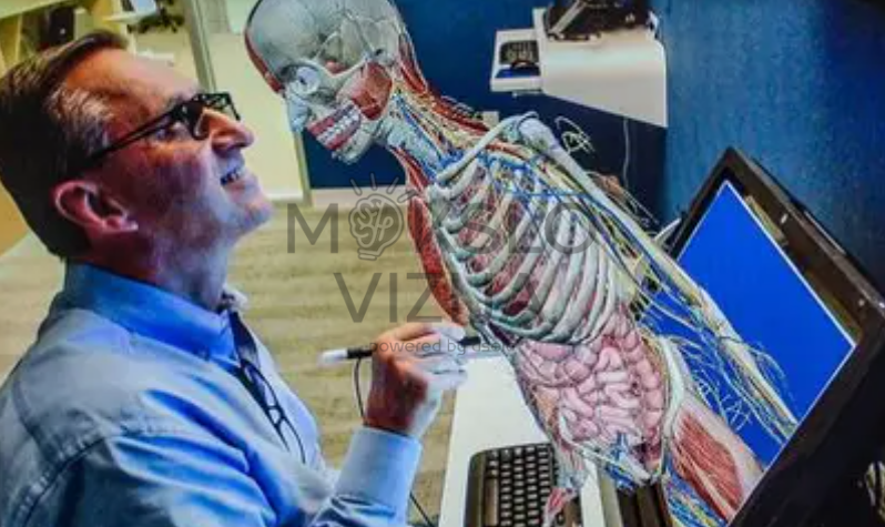 Interaktyvi 3D žmogaus anatomijos sistema su skeletu, organais ir nervų sistema kompiuterio ekrane mokymams