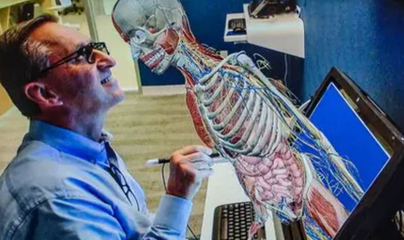 Interaktyvi 3D žmogaus anatomijos sistema su skeletu, organais ir nervų sistema kompiuterio ekrane mokymams