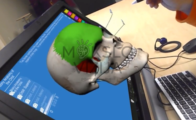 Interaktyvus 3D kaukolės ir raumenų modelis su pažymėtomis struktūromis naudojamas anatomijos mokymui