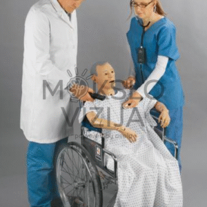 Slaugytoja ir gydytojas tikrina paciento būklę naudodami auskultacijos manekeną vežimėlyje