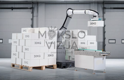 Pramoninis robotas, 30 kg keliamoji galia (Standartinė versija) - Image 2